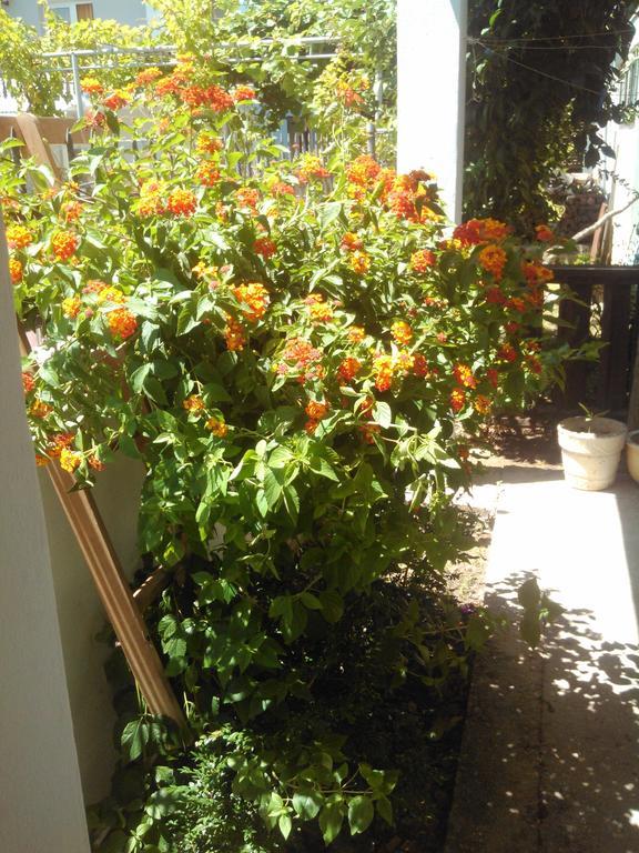 Apartmani Dado Ulcinj Eksteriør bilde